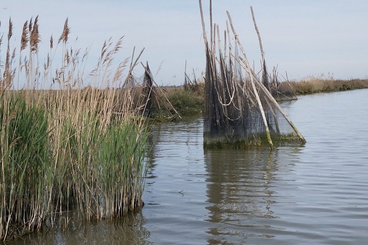 Utforsk Isola dell'Amore og dyreliv på en Po Delta båttur