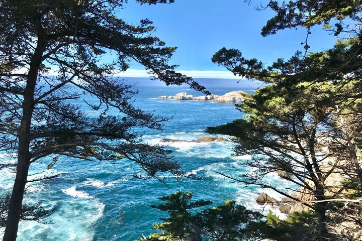 San Francisco, Yosemite & 17 - Mile Drive 3 - Tour di un giorno da LA