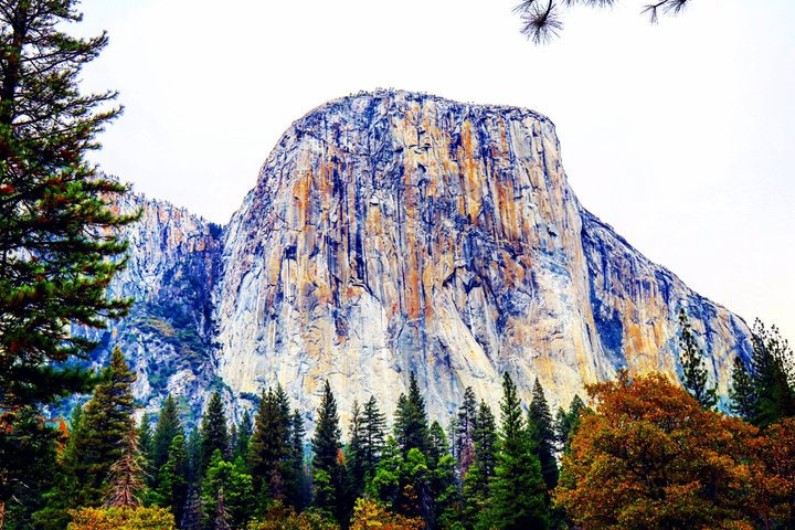 San Francisco, Yosemite & 17 - Mile Drive 3 - Tour di un giorno da LA