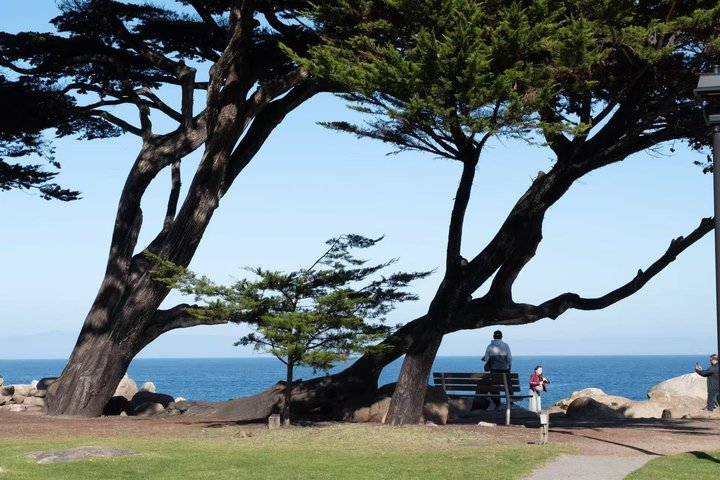 San Francisco, Yosemite & 17 - Mile Drive 3 - Tour di un giorno da LA