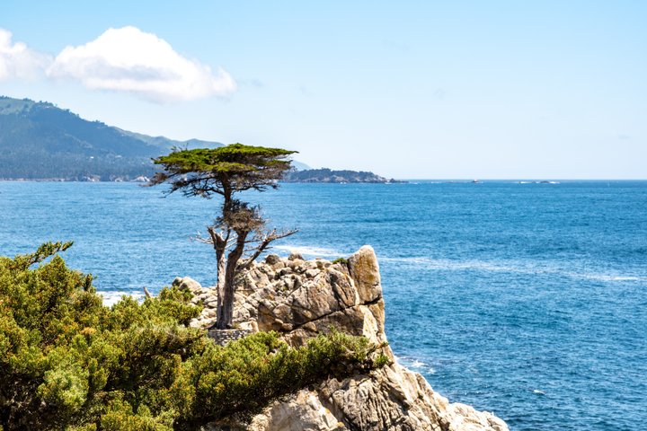 San Francisco, Yosemite & 17 - Mile Drive 3 - Tour di un giorno da LA