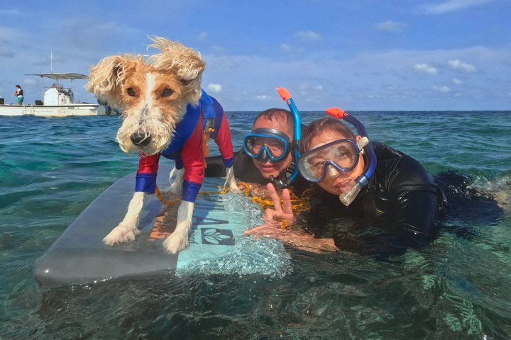 Noleggio privato di lusso di 6 ore a Okinawa: snorkeling e moto d'acqua