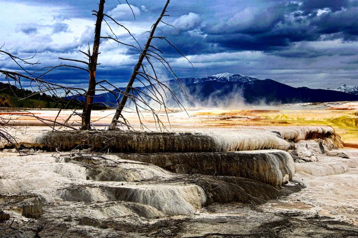 Yellowstone Grand Teton & Jackson Hole 5-dagars guidad tur