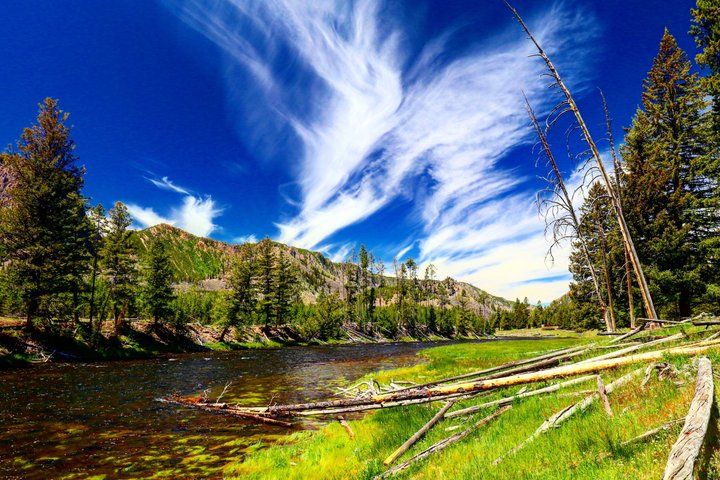 Yellowstone Grand Teton & Jackson Hole 5-dagars guidad tur