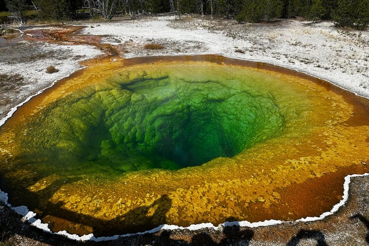 Yellowstone Grand Teton & Jackson Hole 5-dagars guidad tur