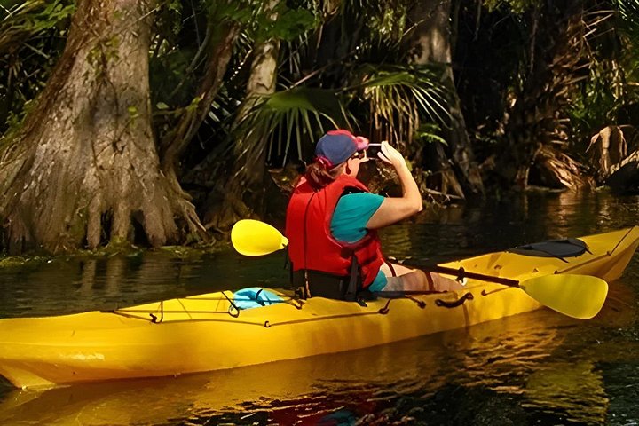Alquiler de kayak en el Parque Nacional Flamingo Everglades