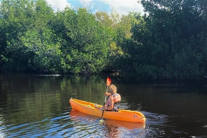 Alquiler de kayak en el Parque Nacional Flamingo Everglades