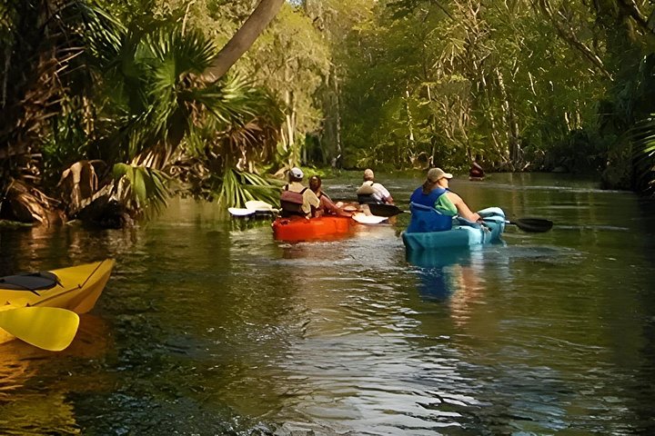 Alquiler de kayak en el Parque Nacional Flamingo Everglades