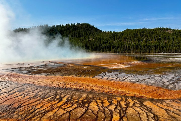 Yellowstone Grand Teton & Jackson Hole 5-dagars guidad tur