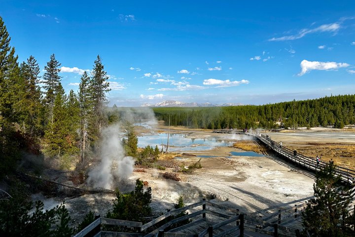Yellowstone Grand Teton & Jackson Hole 5-dagars guidad tur