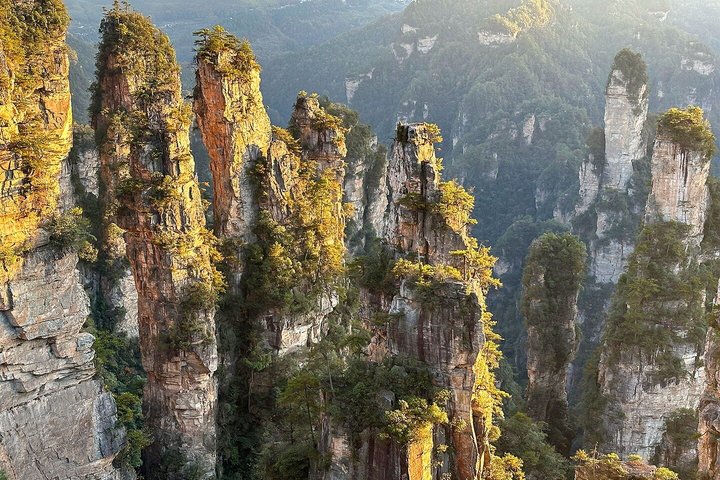 1 - Dag Beste Mini Groep & Privé Tours naar Mt. Avatar & Forest Park