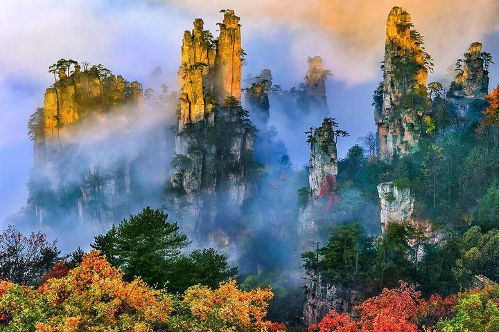 1 - Dag Beste Mini Groep & Privé Tours naar Mt. Avatar & Forest Park