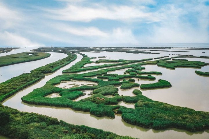 Utforsk Isola dell'Amore og dyreliv på en Po Delta båttur