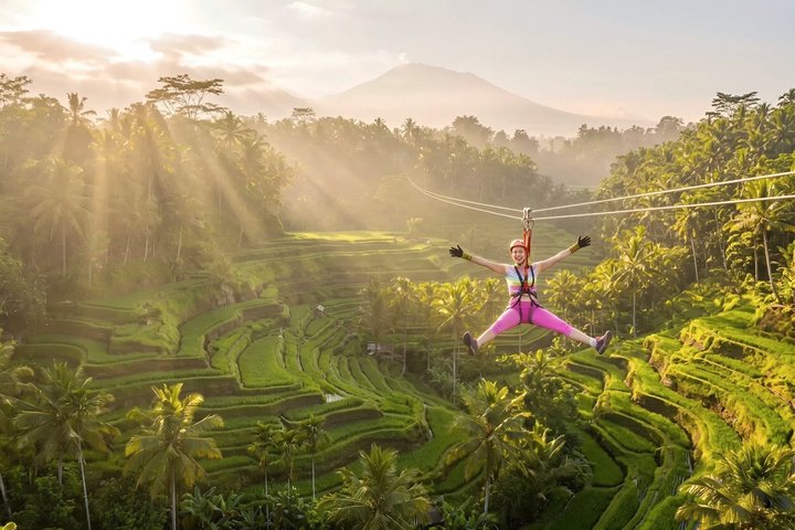 Ubud : Bosque de Monos, Terraza de Arroz, Cueva del Elefante & Tour en Cascada