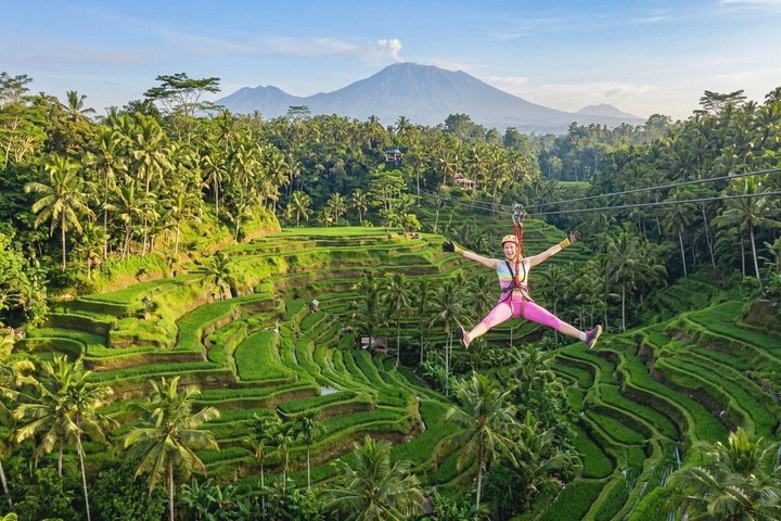Ubud : All-inclusive privétour met waterval, tempel en rijstterras