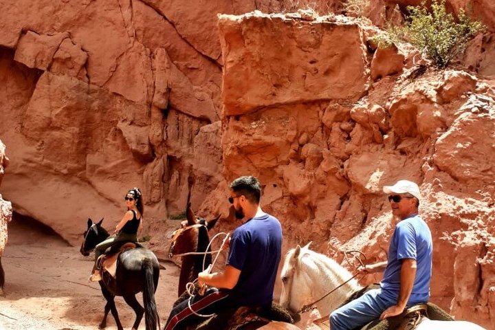 Ridning i Los Colorados: Ett hästäventyr i Cafayate