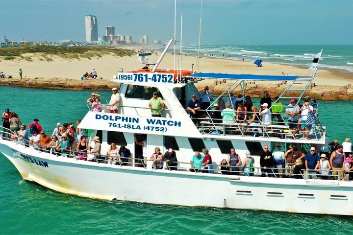 Hoteller i nærheden af Early Bird Eco Tour and Dolphin Watch