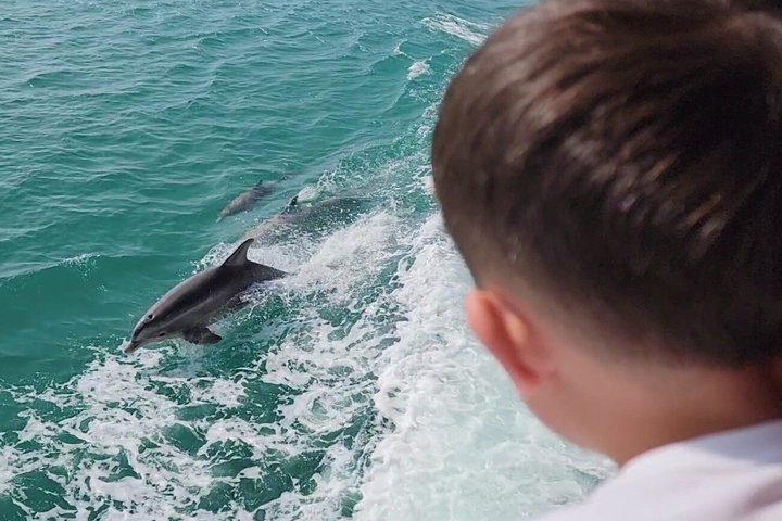 Hoteller i nærheden af Early Bird Eco Tour and Dolphin Watch