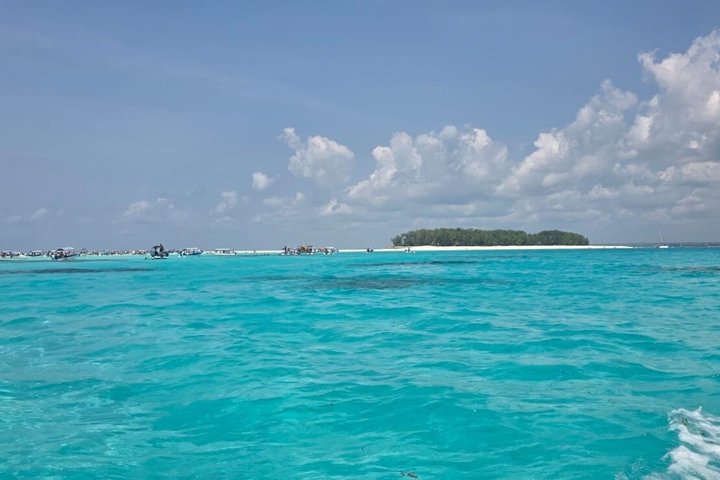 Zanzibar Mnemba Island Avventura di snorkeling e osservazione dei delfini