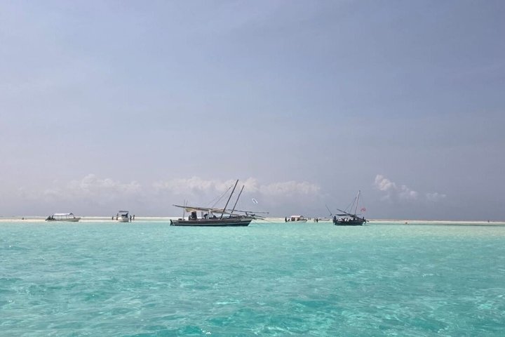 Zanzibar Mnemba Island Avventura di snorkeling e osservazione dei delfini
