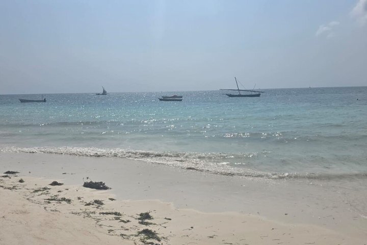 Zanzibar Mnemba Island Avventura di snorkeling e osservazione dei delfini
