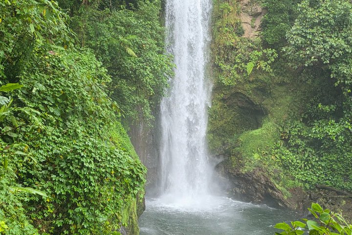 Expérience d'une journée complète sur le volcan Poas, les jardins de la cascade de La Paz et la plantation de café