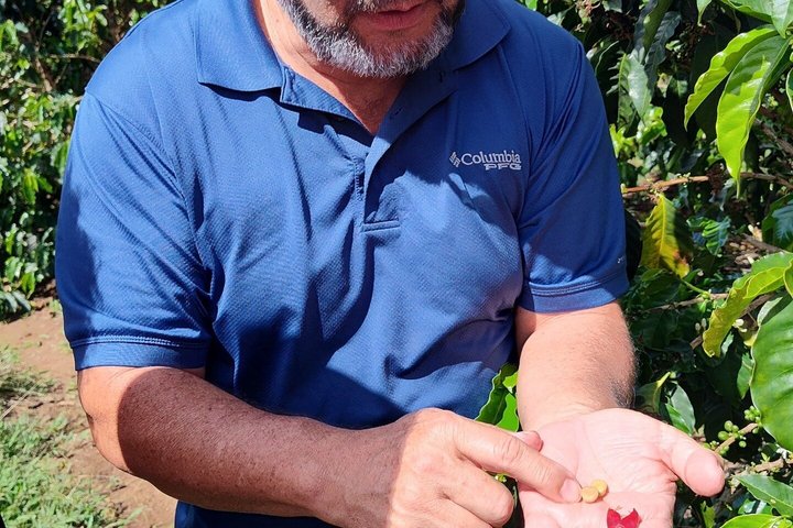 Expérience d'une journée complète sur le volcan Poas, les jardins de la cascade de La Paz et la plantation de café