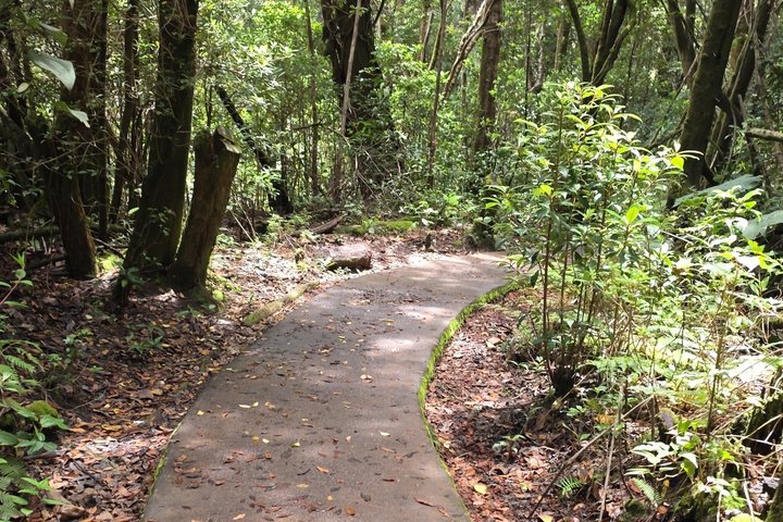 Expérience d'une journée complète sur le volcan Poas, les jardins de la cascade de La Paz et la plantation de café