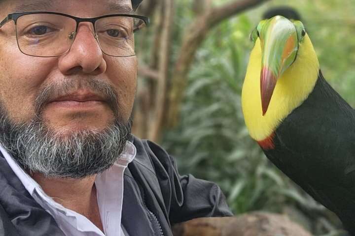 Expérience d'une journée complète sur le volcan Poas, les jardins de la cascade de La Paz et la plantation de café