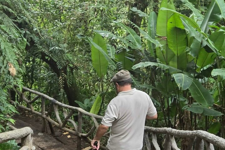 Expérience d'une journée complète sur le volcan Poas, les jardins de la cascade de La Paz et la plantation de café