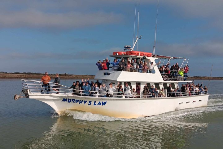 Hoteller i nærheden af Early Bird Eco Tour and Dolphin Watch