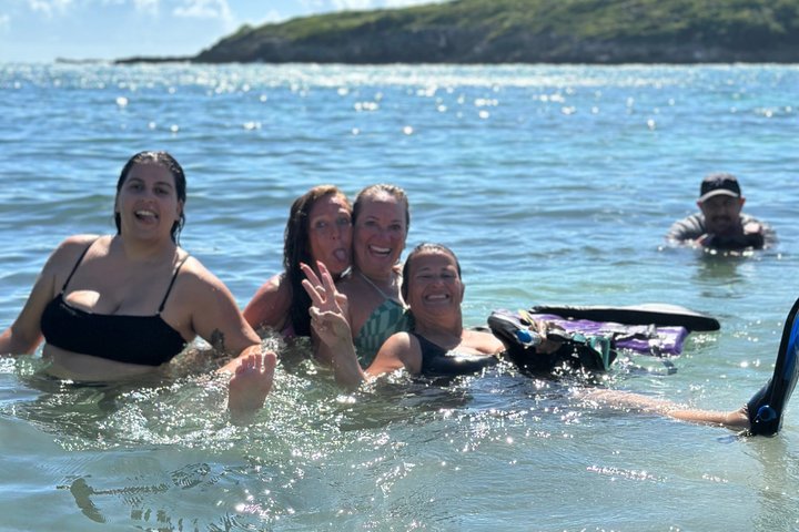 Vieques : Snorklingstur med havssköldpaddor och Stingrockor