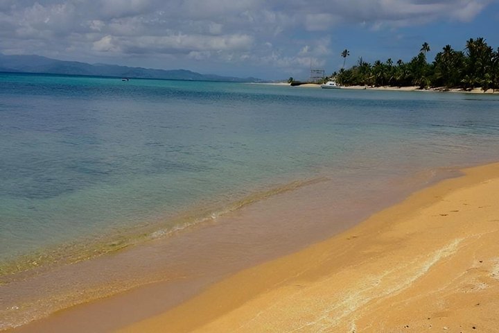 Vieques : Snorklingstur med havssköldpaddor och Stingrockor