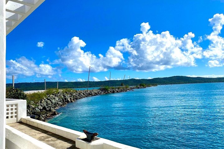 Vieques : Snorklingstur med havssköldpaddor och Stingrockor