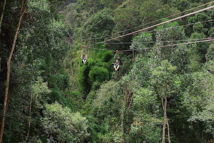 Hoteller i nærheden af Da Lat Waterfalls Datanla Pongour and Elephant Falls