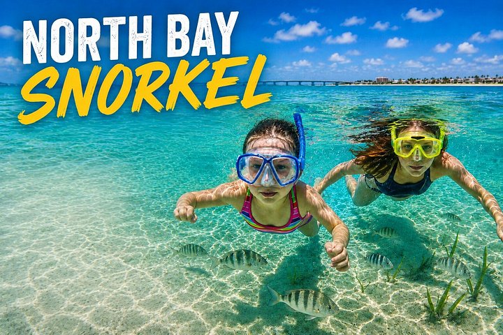 Restauranter i nærheten av North Bay Snorkel - South Padre Island