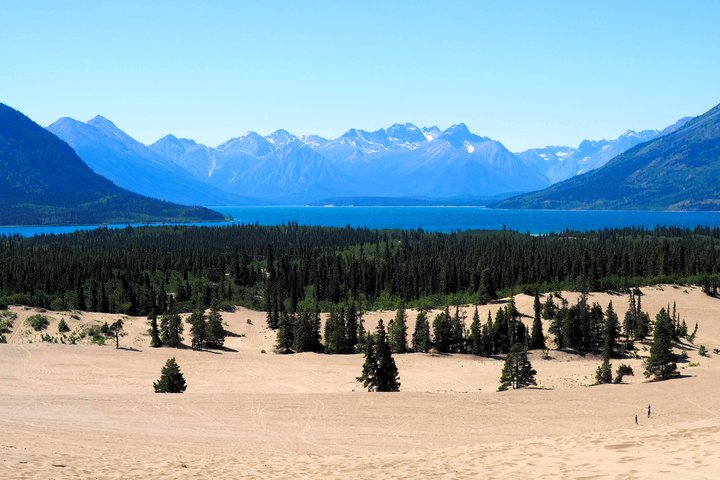 Día del Ártico: tour de senderismo en Carcross y los lagos del sur | día completo