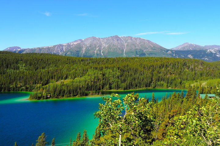 Día del Ártico: tour de senderismo en Carcross y los lagos del sur | día completo