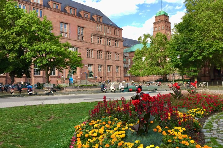 Privat guidad tur i gamla stan med en Freiburger (ca 90 min)