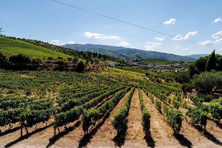 Lunch in Douro Valley bij Quinta dos Novais met wijnarrangementen