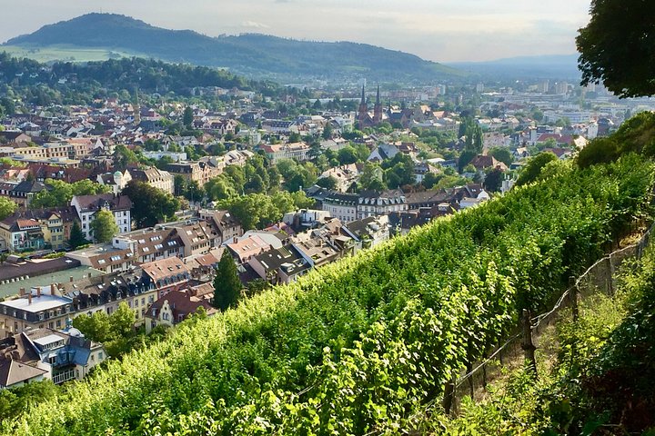 Privé rondleiding door de oude binnenstad met een inwoner van Freiburg (ca. 120 min)
