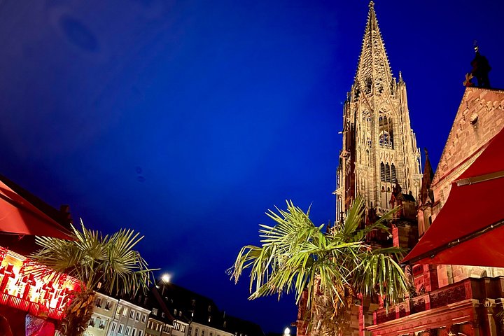 Privé rondleiding door de oude binnenstad met een inwoner van Freiburg (ca. 120 min)