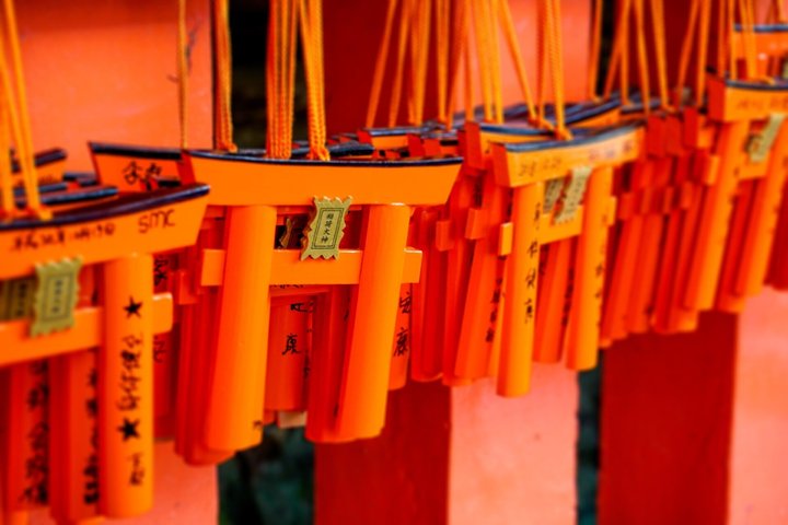 Från Kyoto / Osaka : Kyoto måste-se platser och Nara Park Endagstur