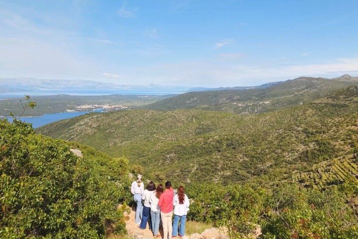 Hidden Hvar Eco Tuk Tuk Tour: Campos de Lavanda, Aldeias e Vistas