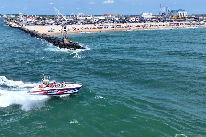Crucero privado de 12 pasajeros por el océano y la bahía