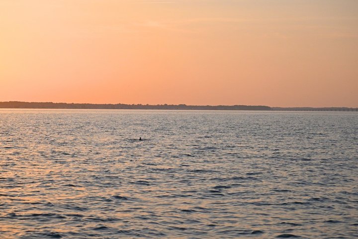 Crucero privado de 12 pasajeros por el océano y la bahía