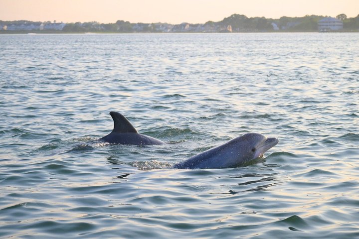 Crucero privado de 12 pasajeros por el océano y la bahía