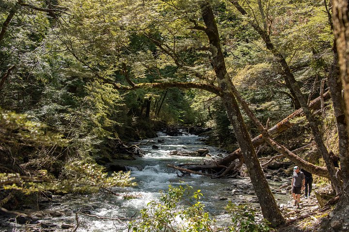 Mt Aspiring Jet Boat & Wilderness Walk - Grupo pequeño, Wanaka