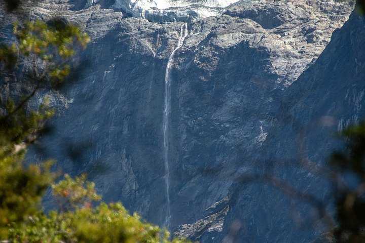 Mt Aspiring Jet Boat & Wilderness Walk - Grupo pequeño, Wanaka