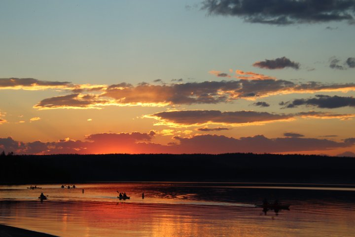 Lago Yellowstone e fontes termais / excursão matinal ou crepuscular de 3 horas